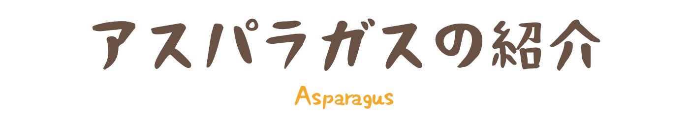 アスパラガスの紹介